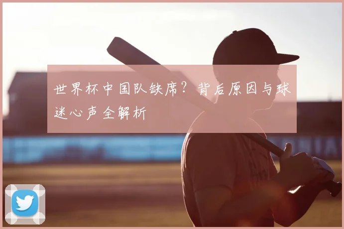 世界杯中国队缺席？背后原因与球迷心声全解析
