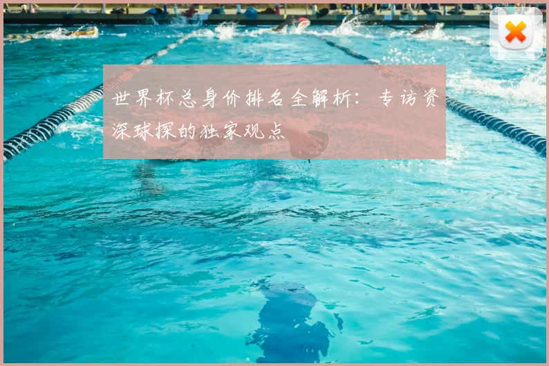 世界杯总身价排名全解析：专访资深球探的独家观点