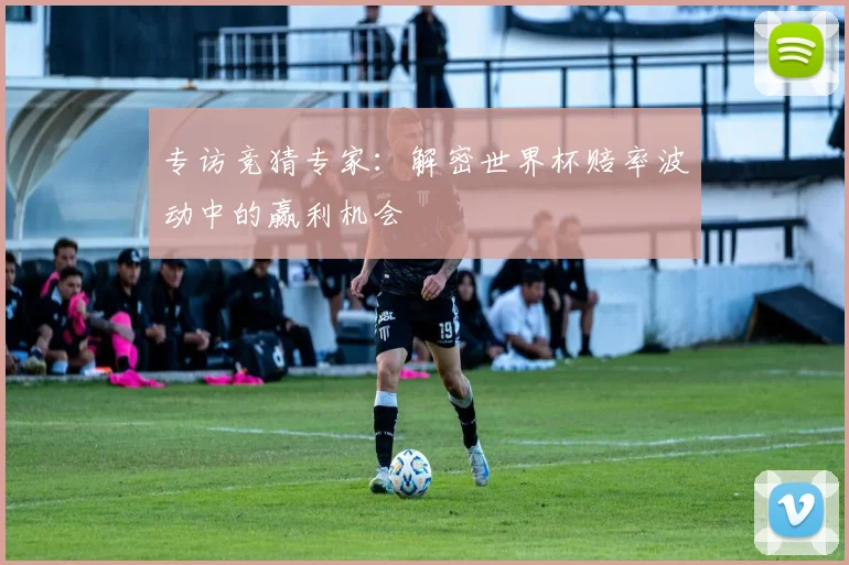 专访竞猜专家:解密世界杯赔率波动中的赢利机会
