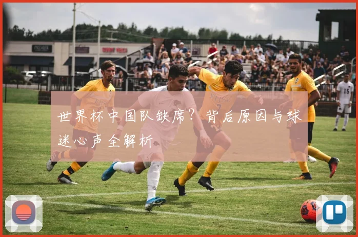世界杯中国队缺席？背后原因与球迷心声全解析