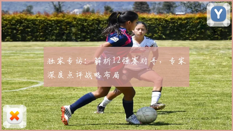 独家专访：解析12强赛对手，专家深度点评战略布局