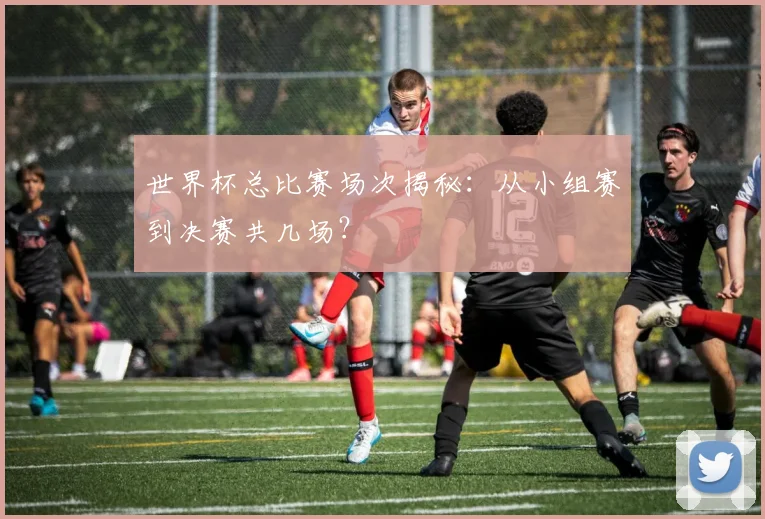 世界杯总比赛场次揭秘：从小组赛到决赛共几场？