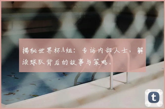 揭秘世界杯A组：专访内部人士，解读球队背后的故事与策略。