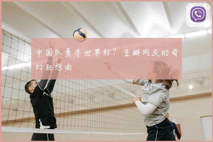 中国队勇夺世界杯?豆瓣网友的奇幻狂想曲