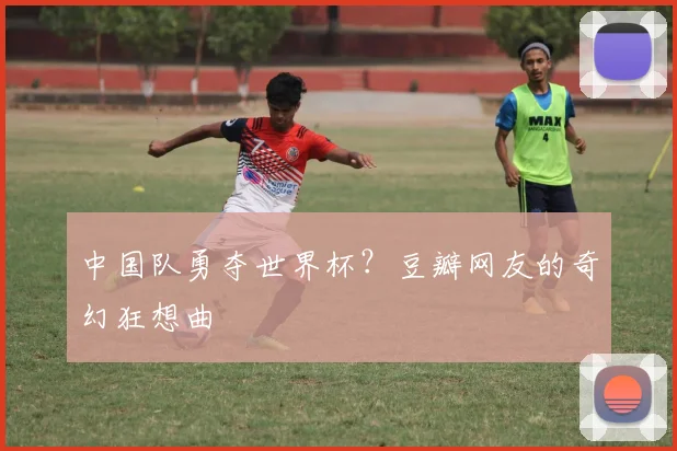 中国队勇夺世界杯?豆瓣网友的奇幻狂想曲